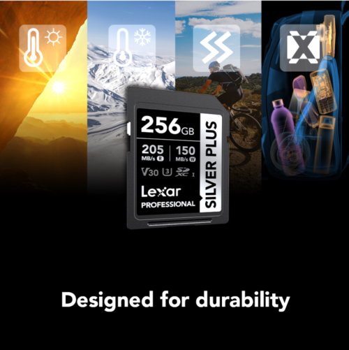 SILVER_PLUS_SDXC_256GB_Photo6