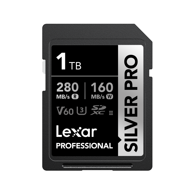 SILVER_PRO_SDXC_1TB_Photo1